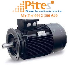 Động cơ cảm ứng HMC3 160L-8 7.5kW IE3 Hoyer Việt Nam - Pitesco đại lý phân phối Induction Motor 720rpm;400/690V; 50HZ; IP55; Isocl. F; B35