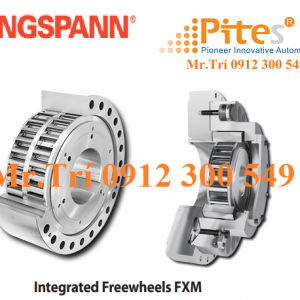 RINGSPANN FXM 76-25 NX Integrated Freewheels RINGSPANN Vietnam - Bánh tự do tích hợp hãng RINGSPANN Việt Nam Xuất xứ 100% EU