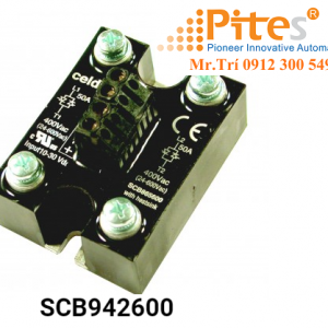 Double Solid State Relay SCB945600 Celduc Việt Nam - Relais Statique Double Celduc Việt Nam - 8-30 VDC control 2x25A 230VAC output
