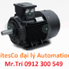 Động cơ cảm ứng HMC3 160L-8 7.5kW IE3 Hoyer Việt Nam - Pitesco đại lý phân phối Induction Motor 720rpm;400/690V; 50HZ; IP55; Isocl. F; B35