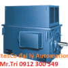 Motor TEFC Higenmotor - động cơ điện áp cao dòng BDA BDK BDF - đại lý Higenmotor Vietnam, motor công nghiệp cho dòng điện áp cao giá tốt