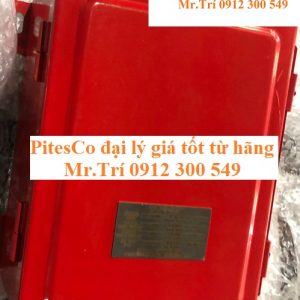 Bộ đánh lửa năng lượng cao DSN-20 SHIJIAZHUANG SHANGWEI tại Việt Nam - gồm HAOGNCN + P20K9Q - Pitesco đại lý SHIJIAZHUANG SHANGWEI giá tốt