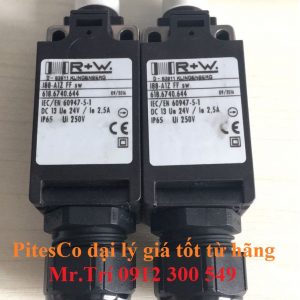 618.6740.644 R+W Việt Nam - Khớp nối công tắc pit-tông RW Việt Nam - Coupling Switch plunger hãng RW Việt Nam